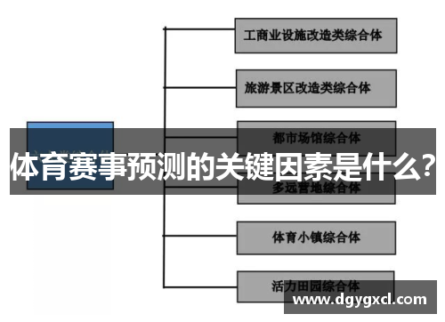 体育赛事预测的关键因素是什么？